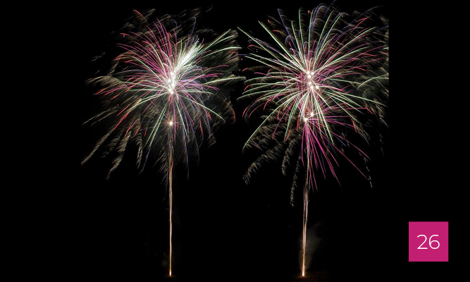 ONYX_gabarit_visioneuse_202626