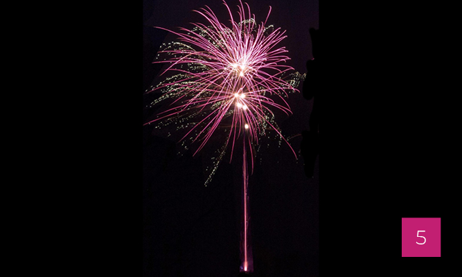 QUARTZ_gabarit_visioneuse_20265