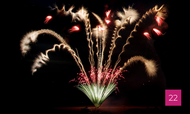 platine_gabarit_visioneuse_202622